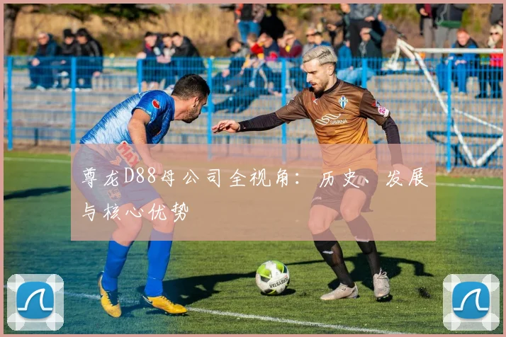 尊龙D88母公司全视角：历史、发展与核心优势