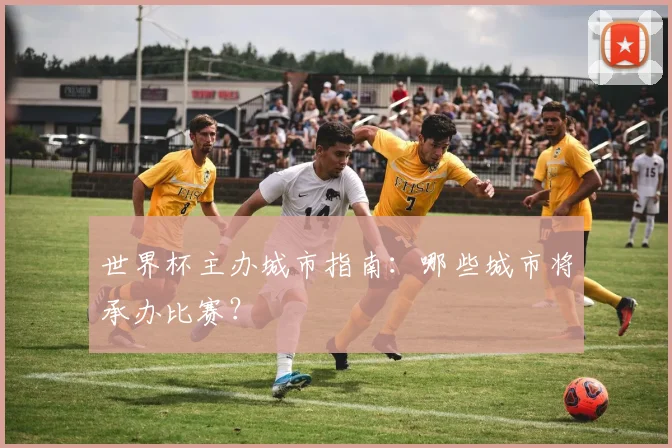 世界杯主办城市指南：哪些城市将承办比赛？