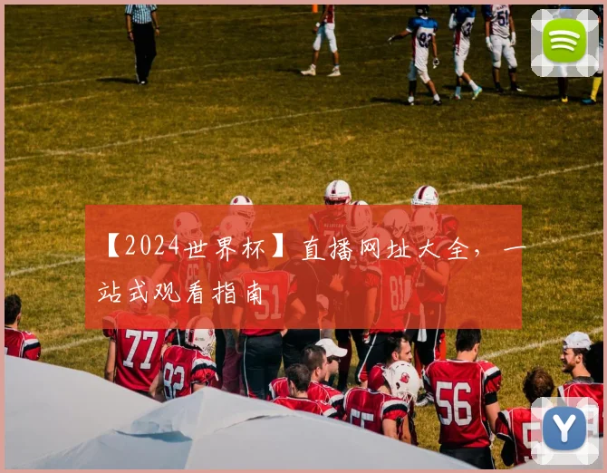 【2024世界杯】直播网址大全，一站式观看指南